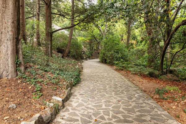 Stone Walkway Repair in Edison