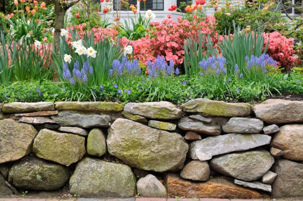 Stone Wall Hardscaping in Edison