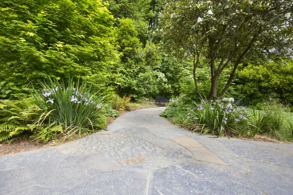 Stone Hardscape Service in Edison