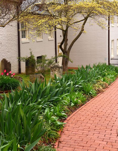 Brick Flatwork Repair in Edison
